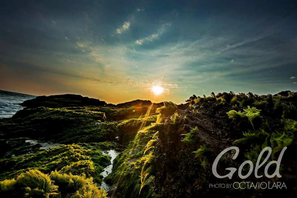 Luz del sol sobre un paisaje verde y rocoso